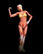 Muscle Body