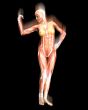 Muscle Body
