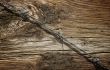 Aged Wood Texture and Barbed Wire
