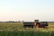 Harvest Time