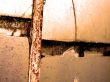 Window Background