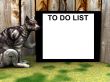 Cat Sign 8