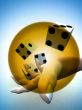 Dice