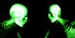 Human Bones