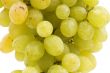 grapes on white