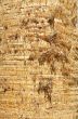 Bark of palm.