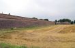 Sabbioneta - The walls
