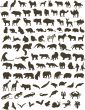 100 animals