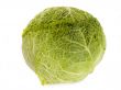 Savoy cabbage