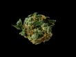 marijuana in zoom