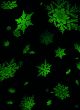 snowflake fall matrix