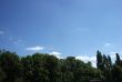 Trees And Sky