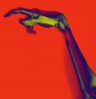 Bone Hand