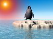 Little Lost Penguin