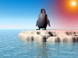 Little Lost Penguin