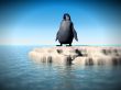 Little Lost Penguin