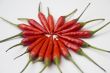 Chili  peppers against white background