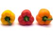 Three Colored Peppers