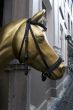 golden horse