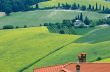 Landscape in Romagna at summer