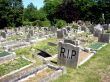 Graves