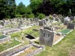 Graves