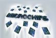 Microchips Word