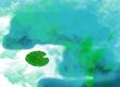 Water Creatures Background