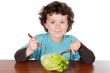 Healthy child eating