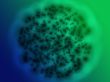 Bacterial cell growth illustration