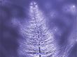 Sparkly christmas tree illustration