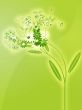 Flowers illustration