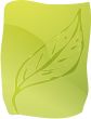Leaf illustration