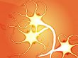 Nerve cells illustration