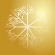 Snowflake illustration