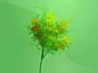 Autumn tree