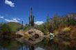 Desert Reflections