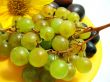 Grape