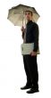 Businessman With Umbrella