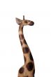 giraffe close light profile