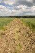 Dirt track