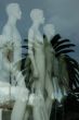 Mannequins in shop with reflection of palm tree