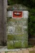 Old mail box covered with moss