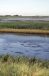 Valli di Comacchio - Pools