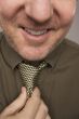 Smiling Man Fixing Tie