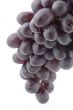 Black grapes close up
