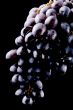 grapes on black closeup