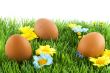 easter eggs