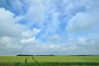 Agriculture with corn fields