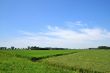 Landscape with farmland